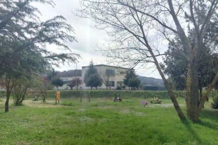 Da Elena E Chiara Bettona Exterior photo